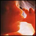 Your Baby's Development: A Pictoral Essay